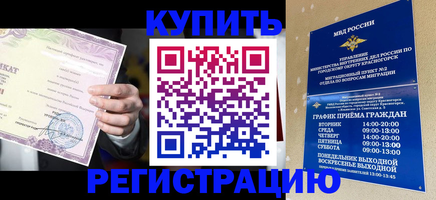 временная регистрация собственник в Кингисеппе